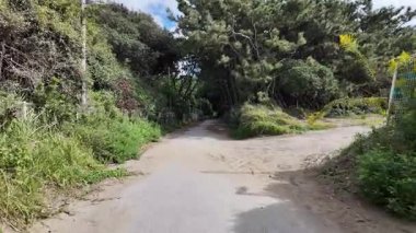 Makuhari Sahili, Japonya Manzarası 2024