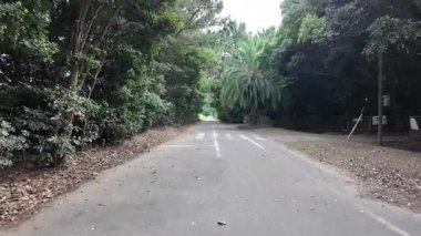 Makuhari Sahili, Japonya Manzarası 2024