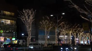 Omotesando aydınlatma, Japonya Tokyo 2024