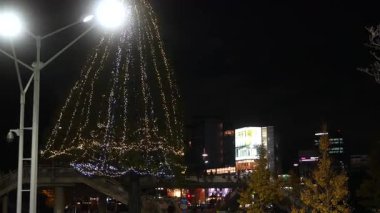 Omotesando aydınlatma, Japonya Tokyo 2024