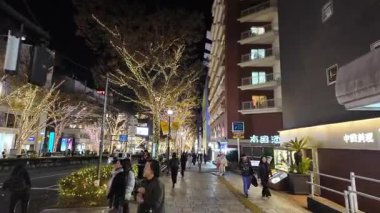 Omotesando aydınlatma, Japonya Tokyo 2024