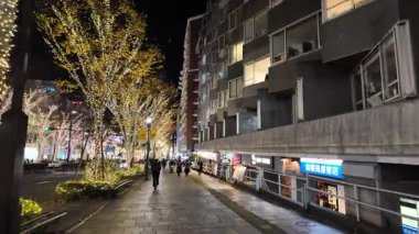 Omotesando aydınlatma, Japonya Tokyo 2024