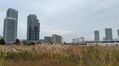 Yokohama Minato Mirai, Japonya Manzarası 2023