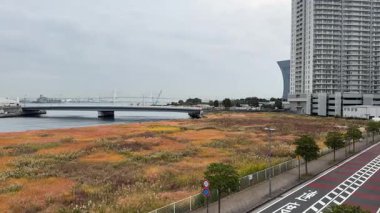 Yokohama Minato Mirai, Japonya Manzarası 2023
