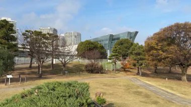 Yokohama Rinko Parkı, Japonya Minato Mirai 2023