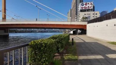 Tokyo Sumida Nehri Peyzaj Gezisi Video 2024