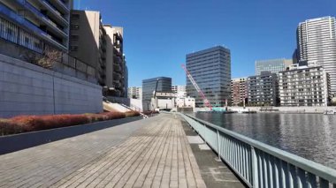 Tokyo Sumida Nehri Peyzaj Gezisi Video 2024