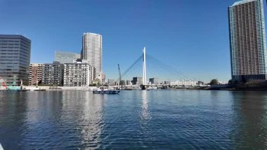 Tokyo Sumida Nehri Peyzaj Gezisi Video 2024
