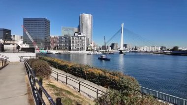 Tokyo Sumida Nehri Peyzaj Gezisi Video 2024