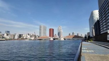 Tokyo Sumida Nehri Peyzaj Gezisi Video 2024
