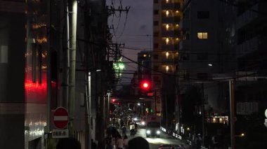 Sumida Nehri Havai fişek Festivali 2023, Japonya Tokyo