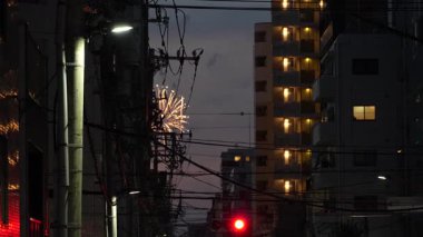 Sumida Nehri Havai fişek Festivali 2023, Japonya Tokyo