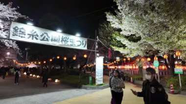 Kinshi Park Gecesi Kiraz Çiçekleri, Japonya Tokyo 2024