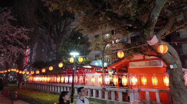 Kinshi Park Gecesi Kiraz Çiçekleri, Japonya Tokyo 2024