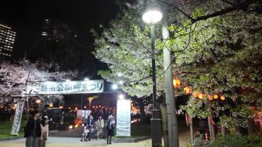 Kinshi Park Gecesi Kiraz Çiçekleri, Japonya Tokyo 2024