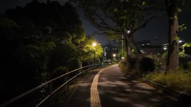 Japonya İmparatorluk Sarayı Gece Yarışı Görünümü 