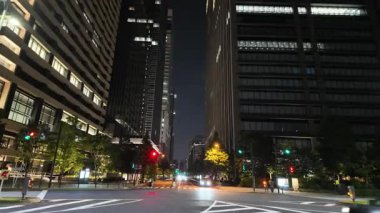 Japonya İmparatorluk Sarayı Gece Yarışı Görünümü 