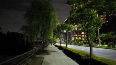 Japonya İmparatorluk Sarayı Gece Yarışı Görünümü 