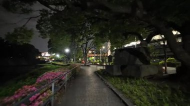 Japonya İmparatorluk Sarayı Gece Yarışı Görünümü 