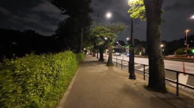 Japonya İmparatorluk Sarayı Gece Yarışı Görünümü 