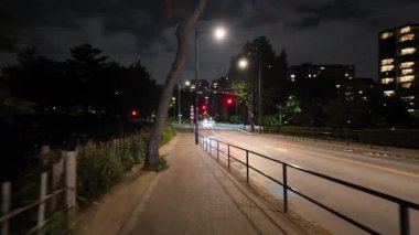 Japonya İmparatorluk Sarayı Gece Yarışı Görünümü 