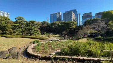 İmparatorluk Sarayı Doğu Bahçeleri, Japonya Tokyo 2024
