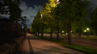 Japonya İmparatorluk Sarayı Gece Manzarası Tokyo 2023