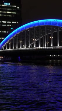 Tokyo Sumida Nehri dikey video gece görüntüsü 2024