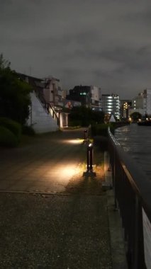 Tokyo Sumida Nehri dikey video gece görüntüsü 2024