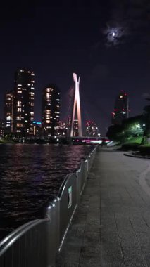 Tokyo Sumida Nehri dikey video gece görüntüsü 2024