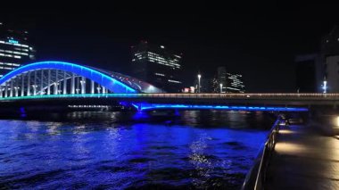 Sumida Nehri Gecesi, Tokyo Japonya Ocak 2024