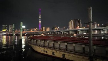 Sumida Nehri Gecesi, Tokyo Japonya Ocak 2024