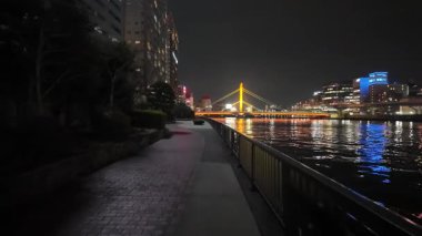 Sumida Nehri Gecesi, Tokyo Japonya Ocak 2024