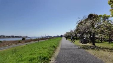 Arakawa Nehri Kiraz Çiçekleri 2024 Komatsugawa