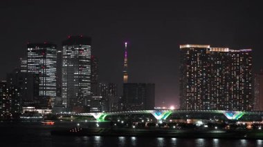 Tokyo Körfezi Gece Manzarası 2024