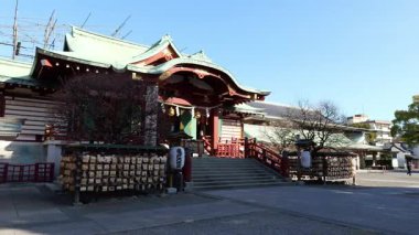 Kameido Tenjin Erik çiçeği, Japonya Tokyo Şubat 2025