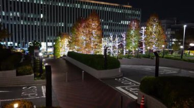 Doğu 21 Kış Aydınlatmaları, Japonya Tokyo 2025