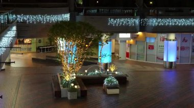 Doğu 21 Kış Aydınlatmaları, Japonya Tokyo 2025