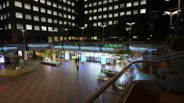 Doğu 21 Kış Aydınlatmaları, Japonya Tokyo 2025