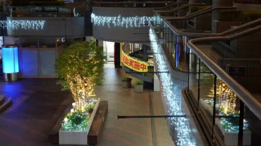 Doğu 21 Kış Aydınlatmaları, Japonya Tokyo 2025