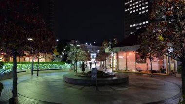 Doğu 21 Kış Aydınlatmaları, Japonya Tokyo 2025