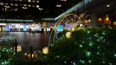 Doğu 21 Kış Aydınlatmaları, Japonya Tokyo 2025