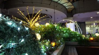 Doğu 21 Kış Aydınlatmaları, Japonya Tokyo 2025