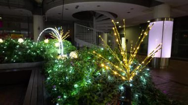 Doğu 21 Kış Aydınlatmaları, Japonya Tokyo 2025