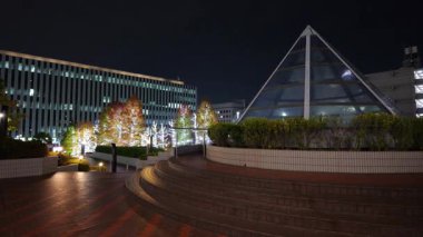 Doğu 21 Kış Aydınlatmaları, Japonya Tokyo 2025