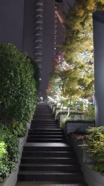 Doğu 21 Kış Aydınlatmaları, Japonya Tokyo 2025