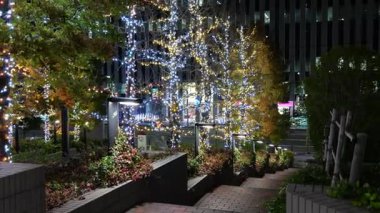 Doğu 21 Kış Aydınlatmaları, Japonya Tokyo 2025