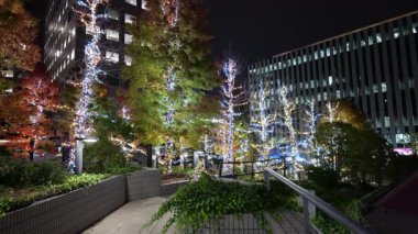 Doğu 21 Kış Aydınlatmaları, Japonya Tokyo 2025