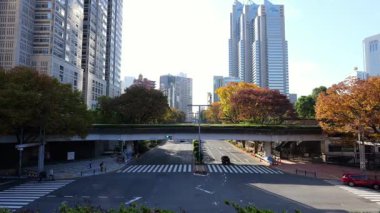 Shinjuku Manzarası, Japonya Tokyo Kasım 2025