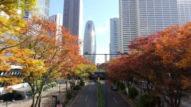 Shinjuku Manzarası, Japonya Tokyo Kasım 2025